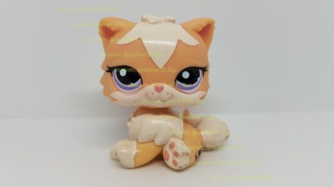 Littlest Pet Shop LPS perzsa cica figura (használt, szépséghibás)