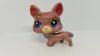 Littlest Pet Shop LPS corgy kutya figura (használt, szépséghibás)
